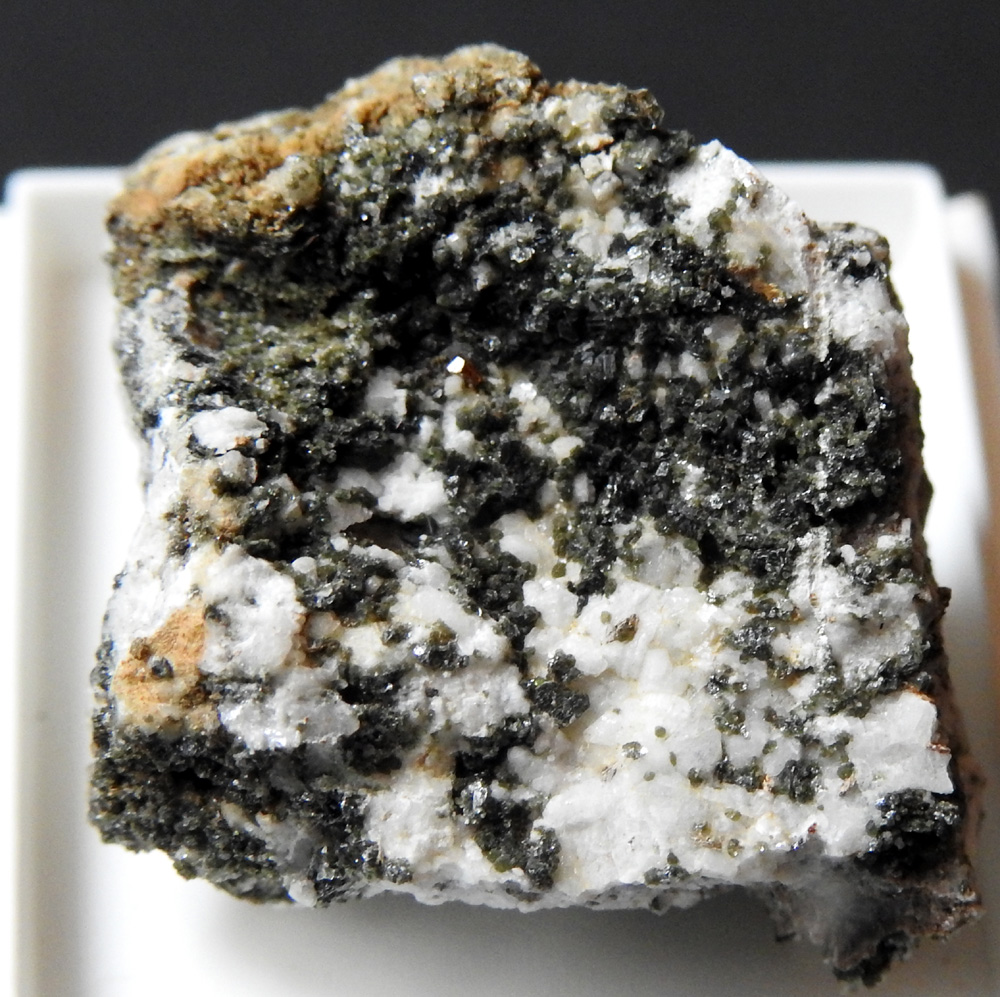 Anatase Sagenite & Muscovite