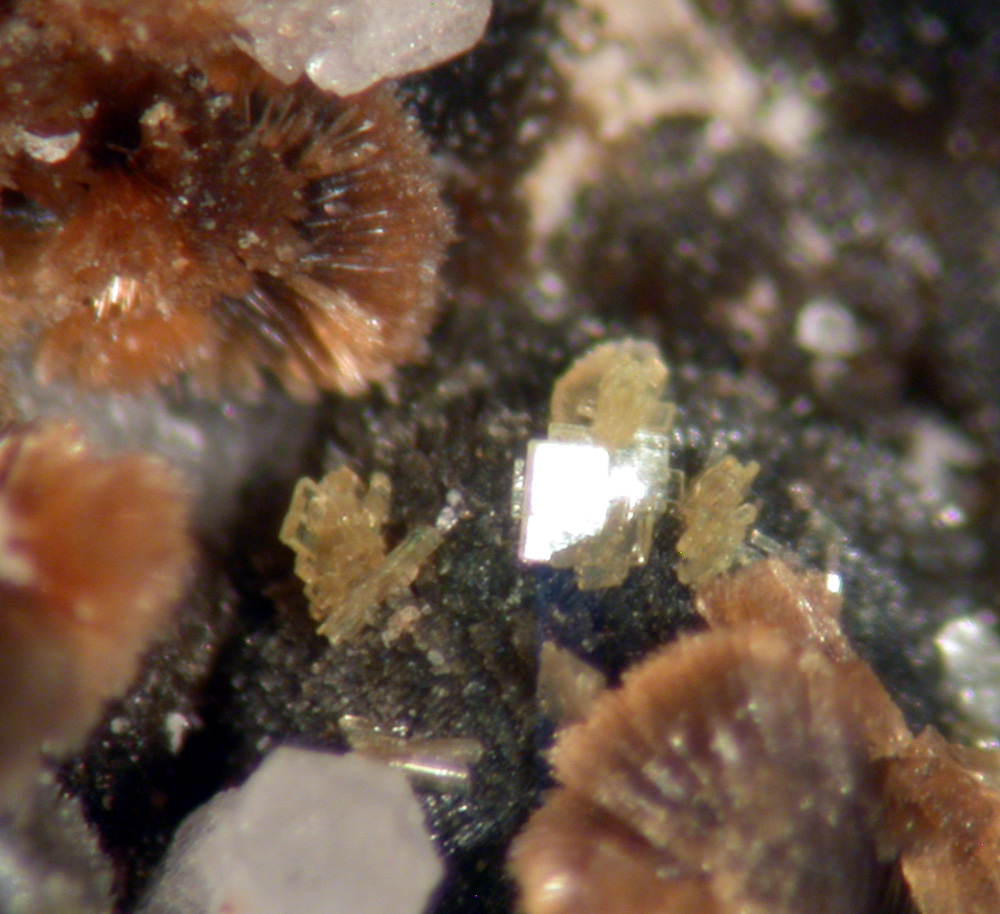 Roscherite Fluor-elbaite & Autunite