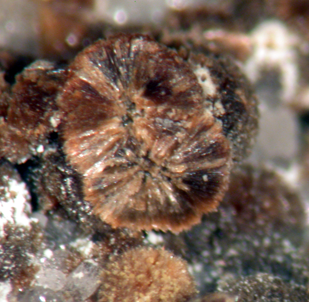 Roscherite Fluor-elbaite & Autunite