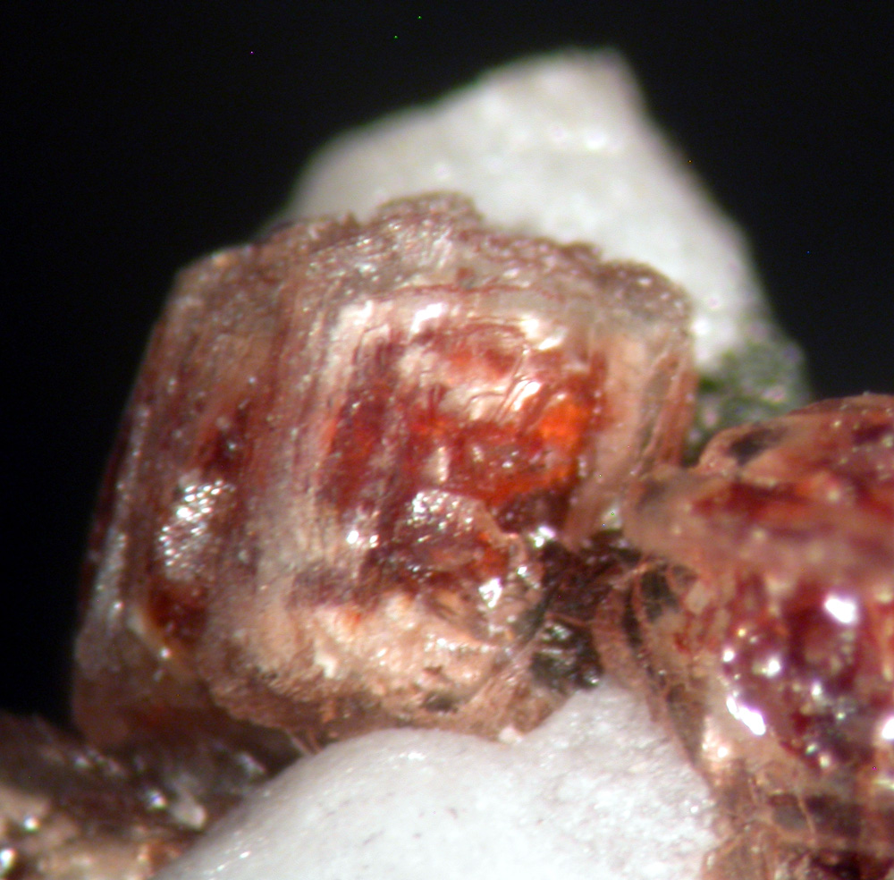 Anorthoroselite Cobaltaustinite & Aragonite