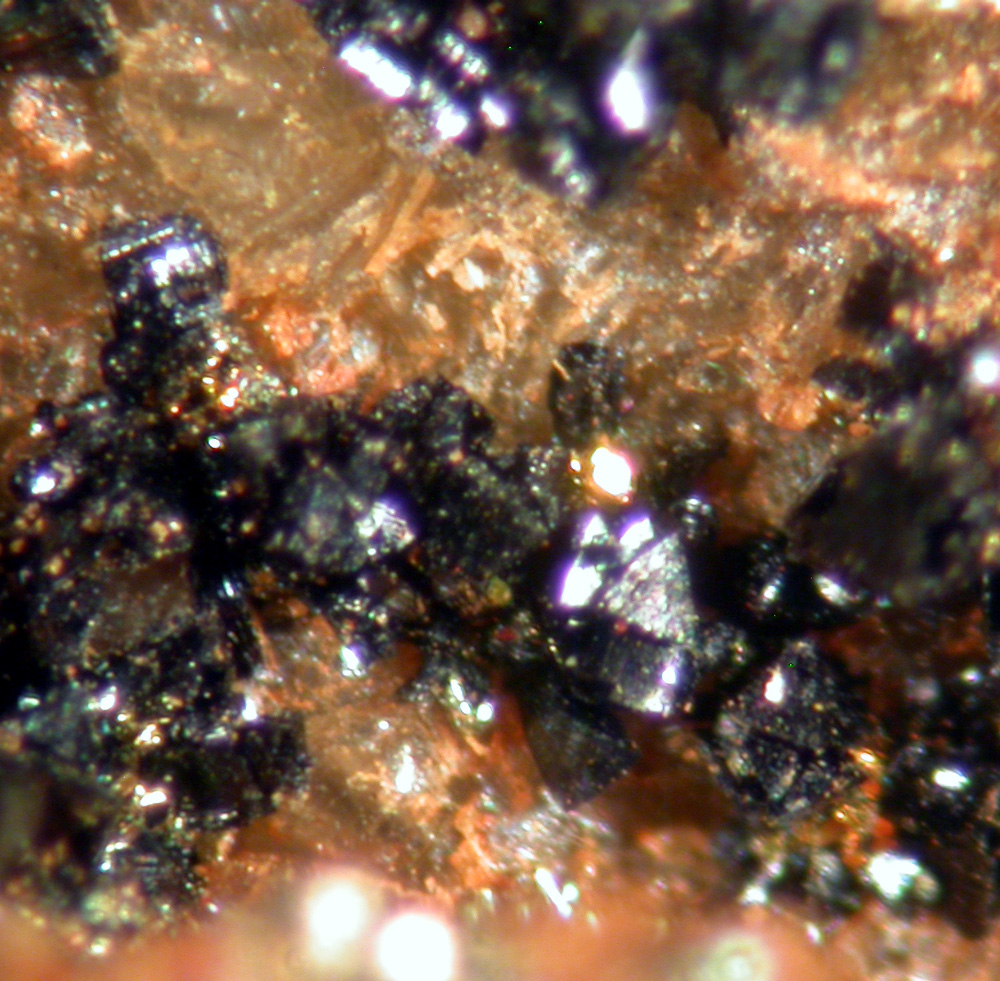 Cronstedtite & Siderite