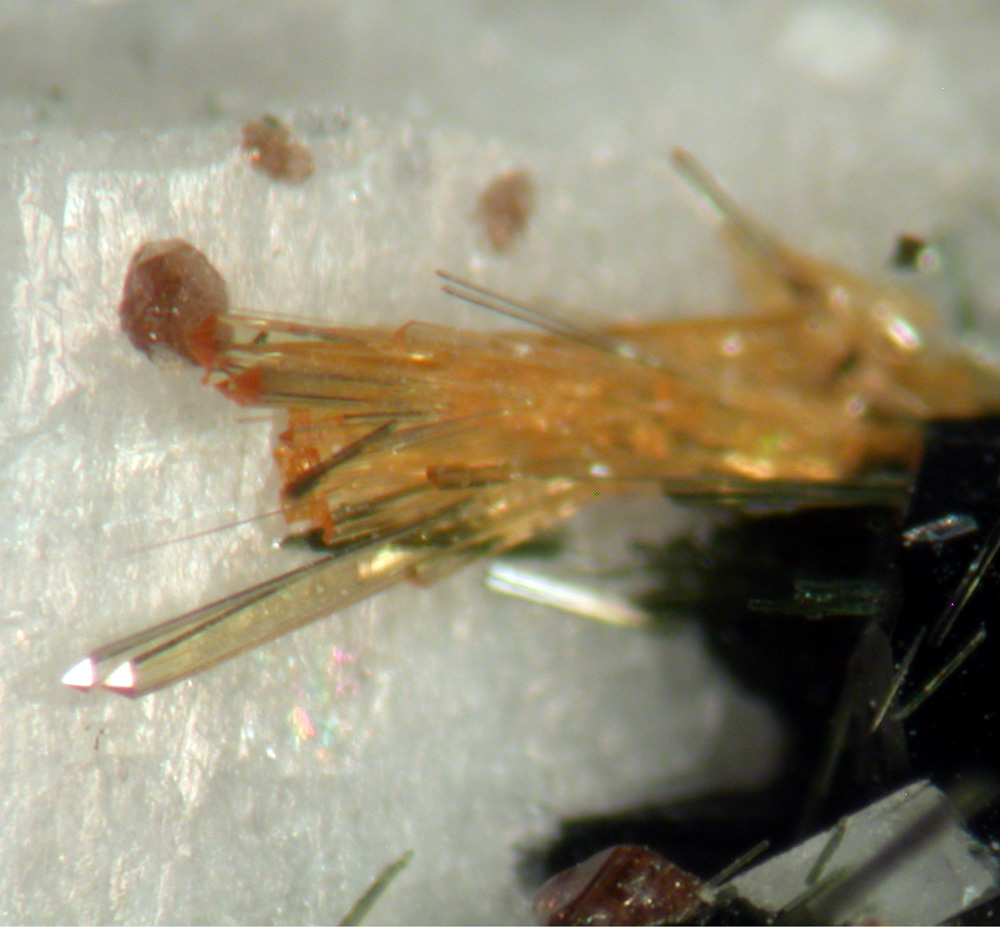 Titanite & Ferrokentbrooksite
