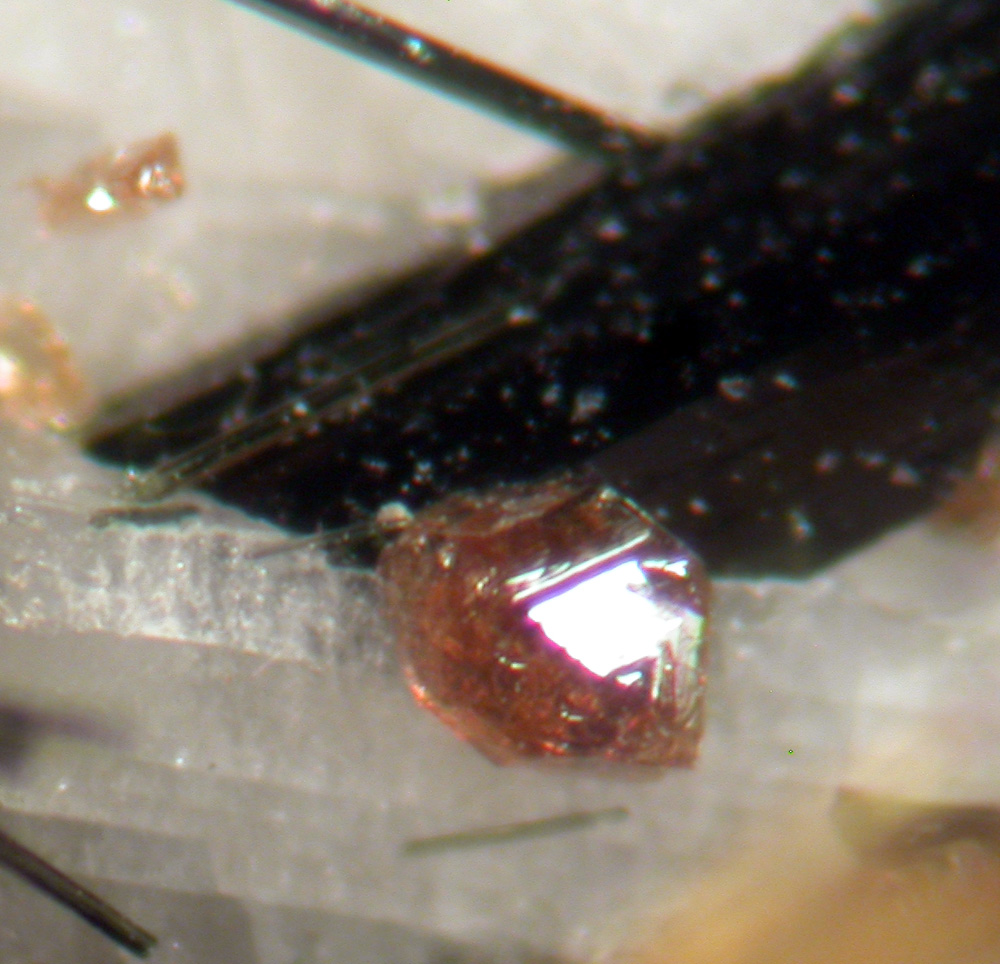 Titanite & Ferrokentbrooksite