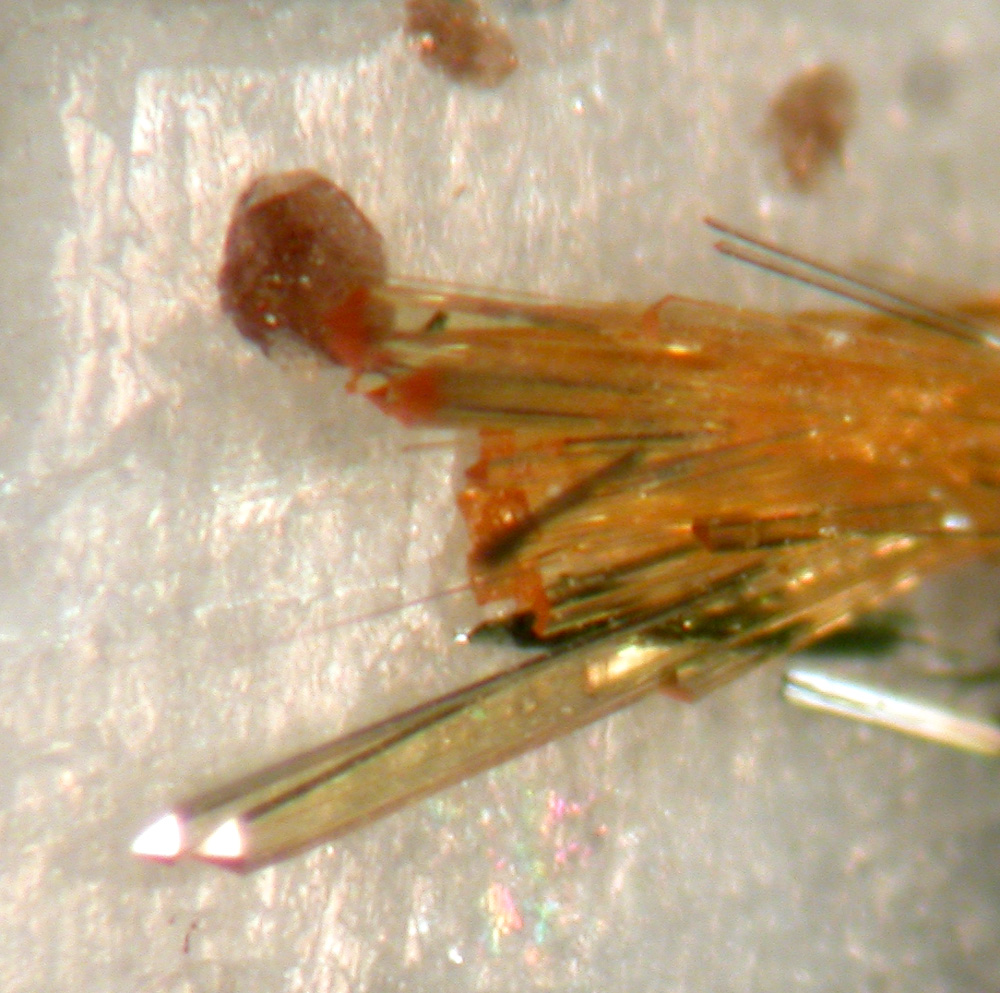 Titanite & Ferrokentbrooksite