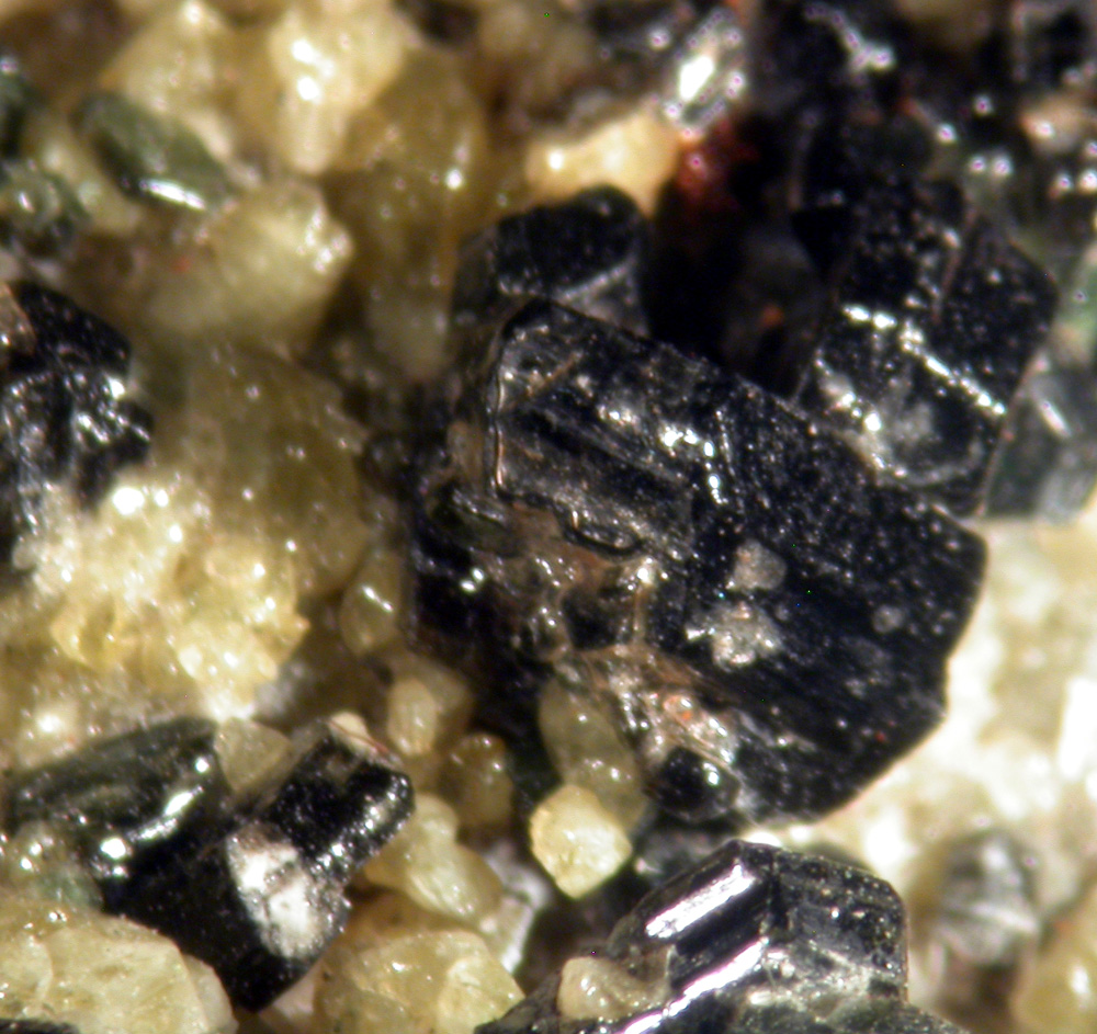 Clintonite & Diopside