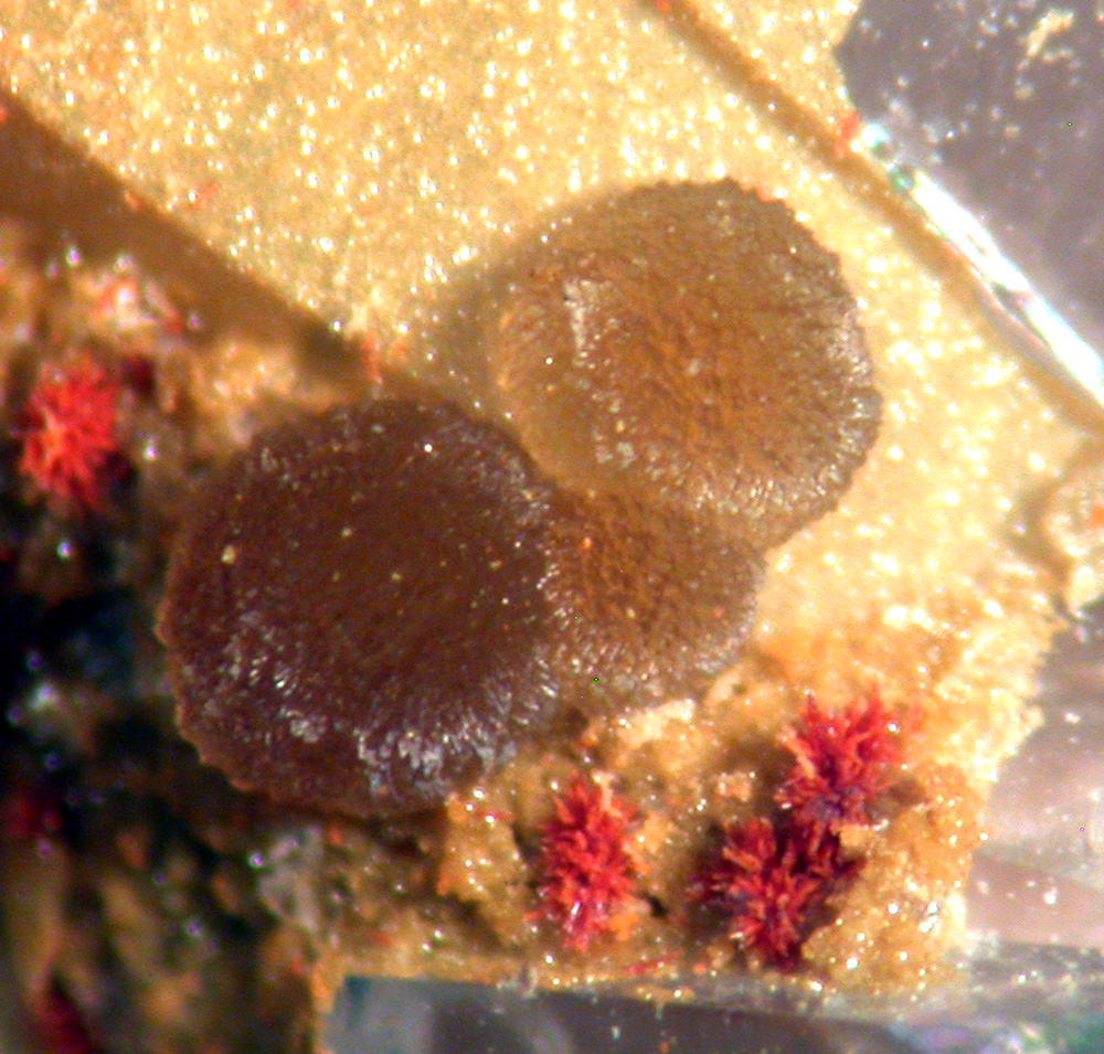 Scorodite