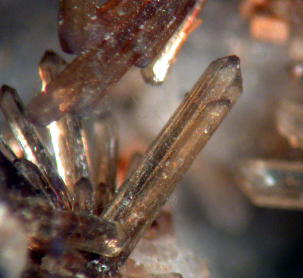 Moraesite Zanazziite & Eosphorite