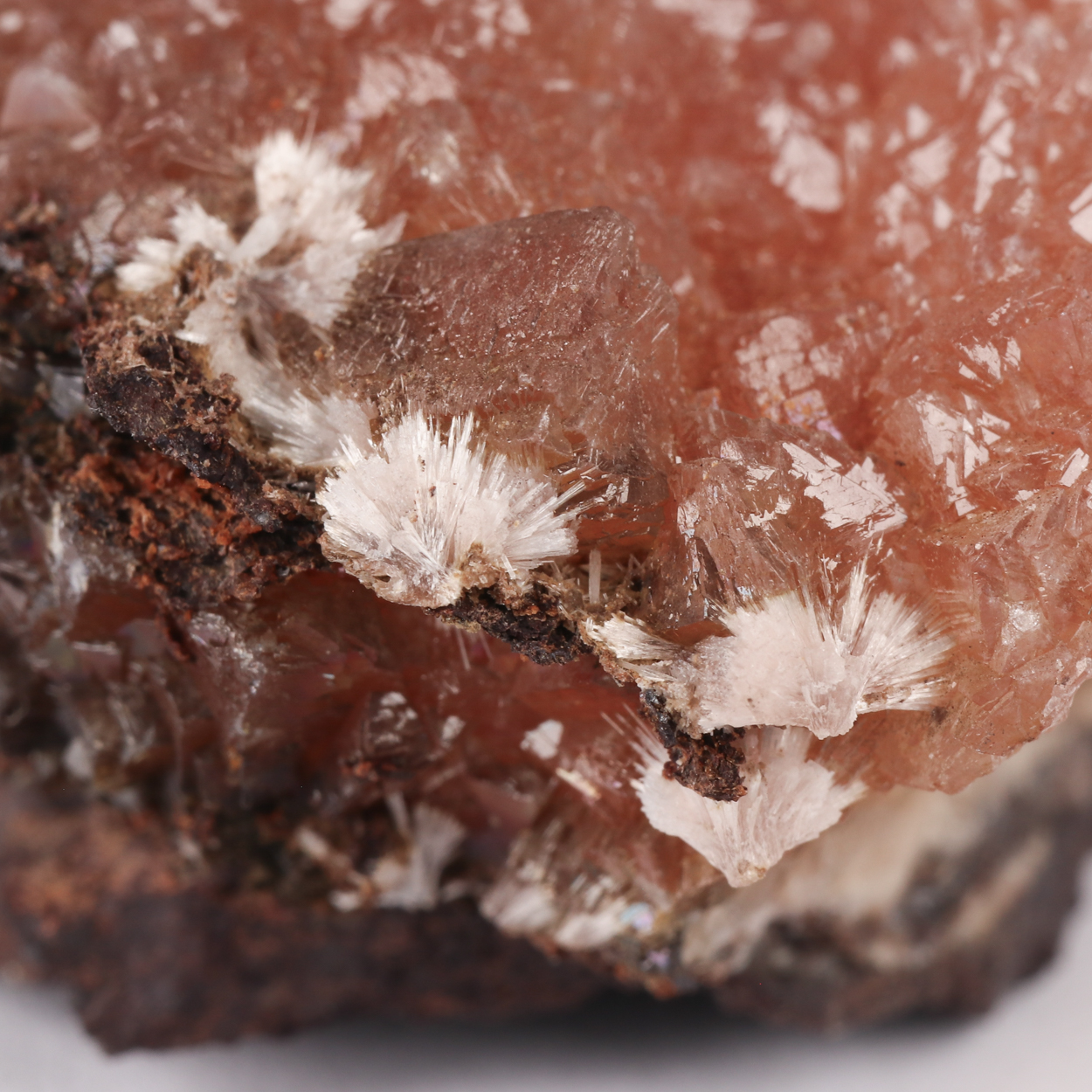 Bultfonteinite On Olmiite