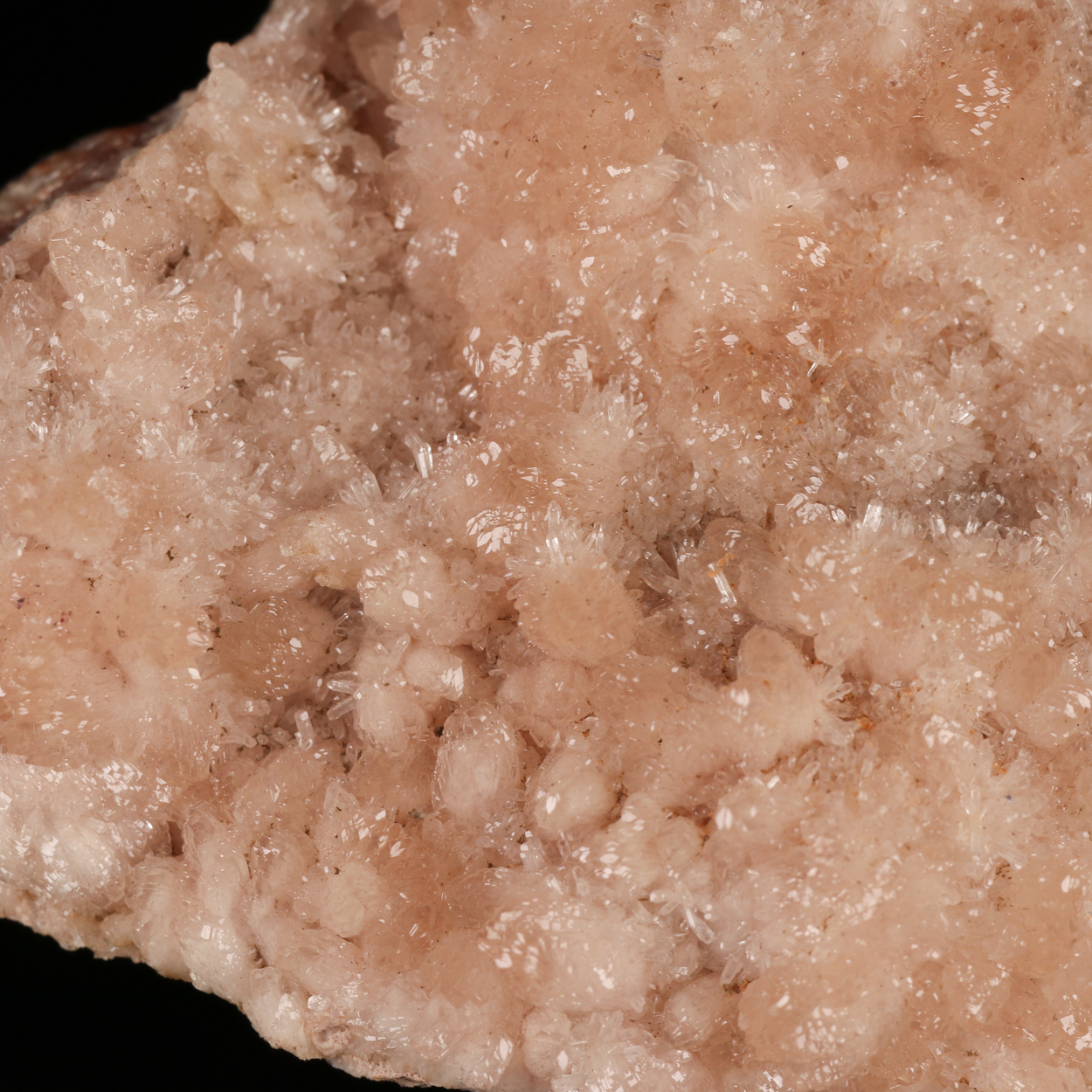 Olmiite