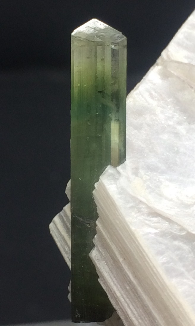 Elbaite With Muscovite