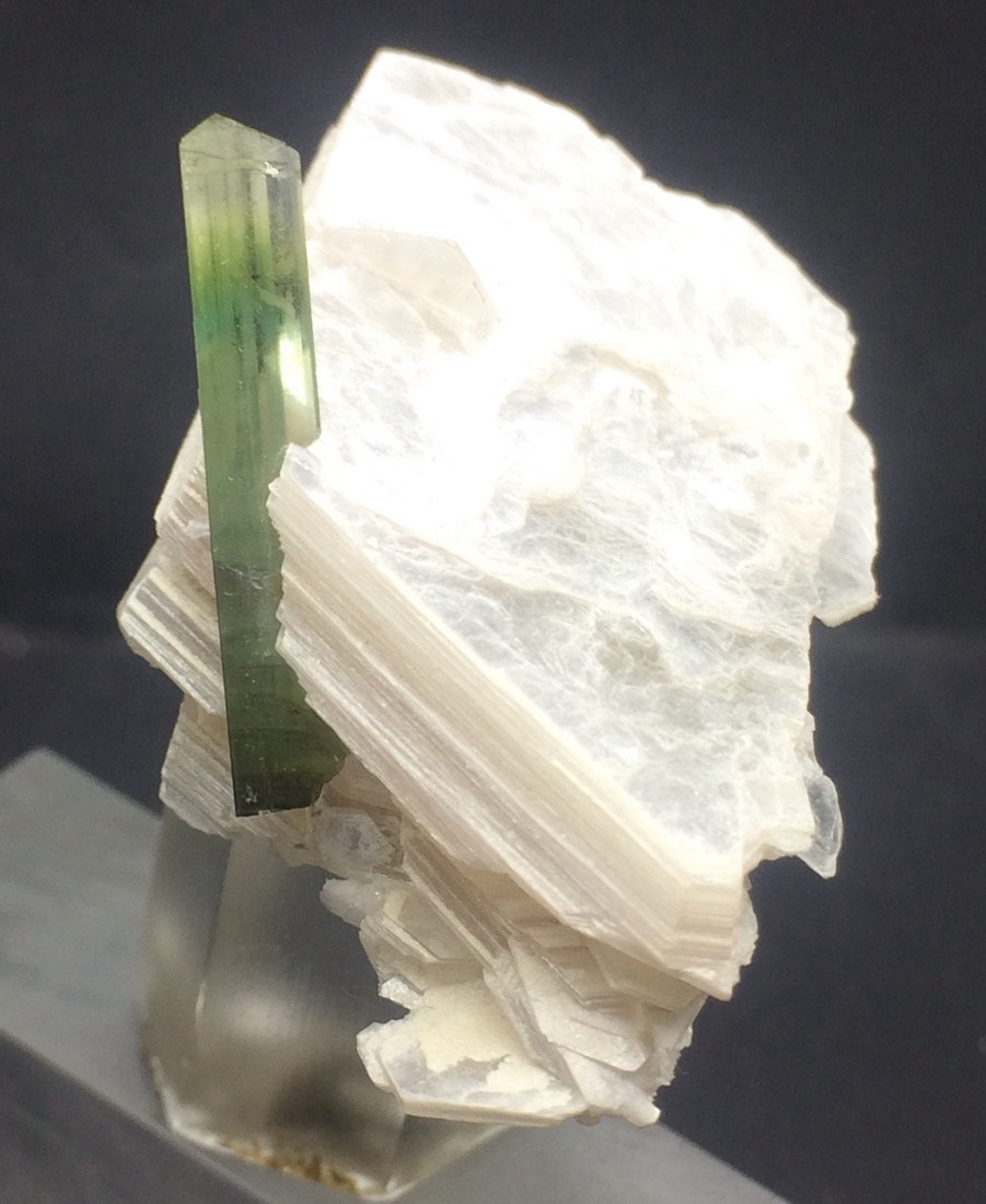 Elbaite With Muscovite