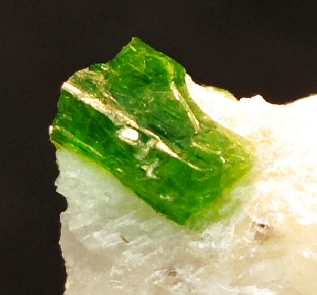 Pargasite