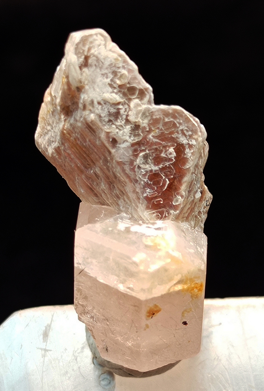 Apatite With Muscovite