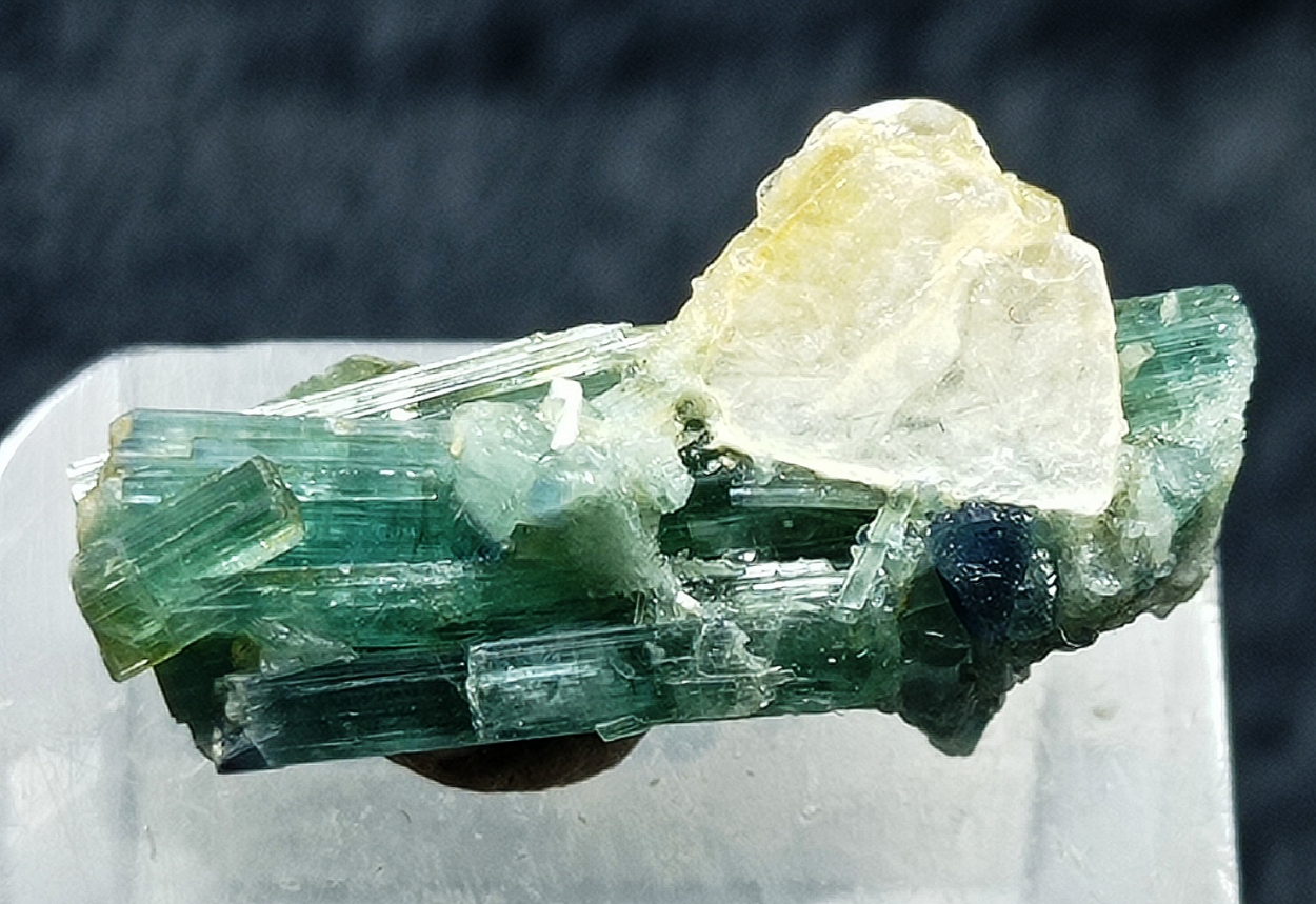 Tourmaline With Muscovite