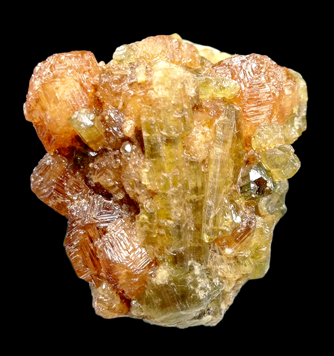 Grossular Var Garnet With Vesuvianite & Titanite