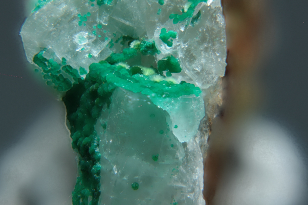 Agardite Cornwallite & Malachite