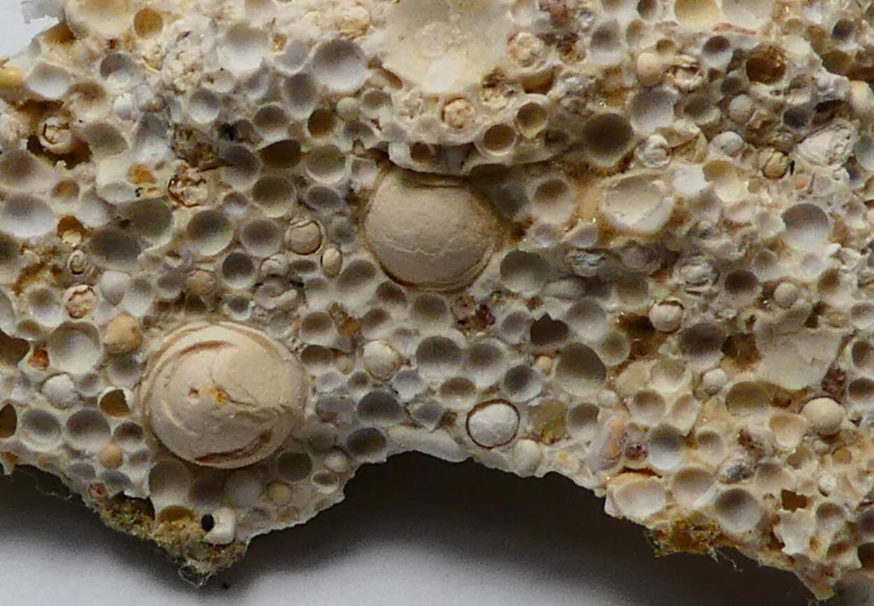 Aragonite Cave Pearls