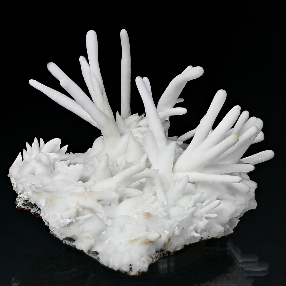 Aragonite Var Flos Ferri