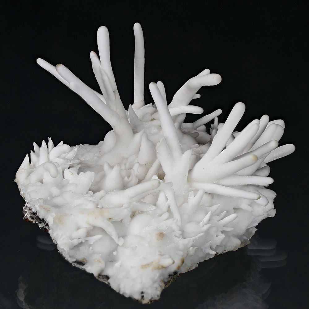 Aragonite Var Flos Ferri