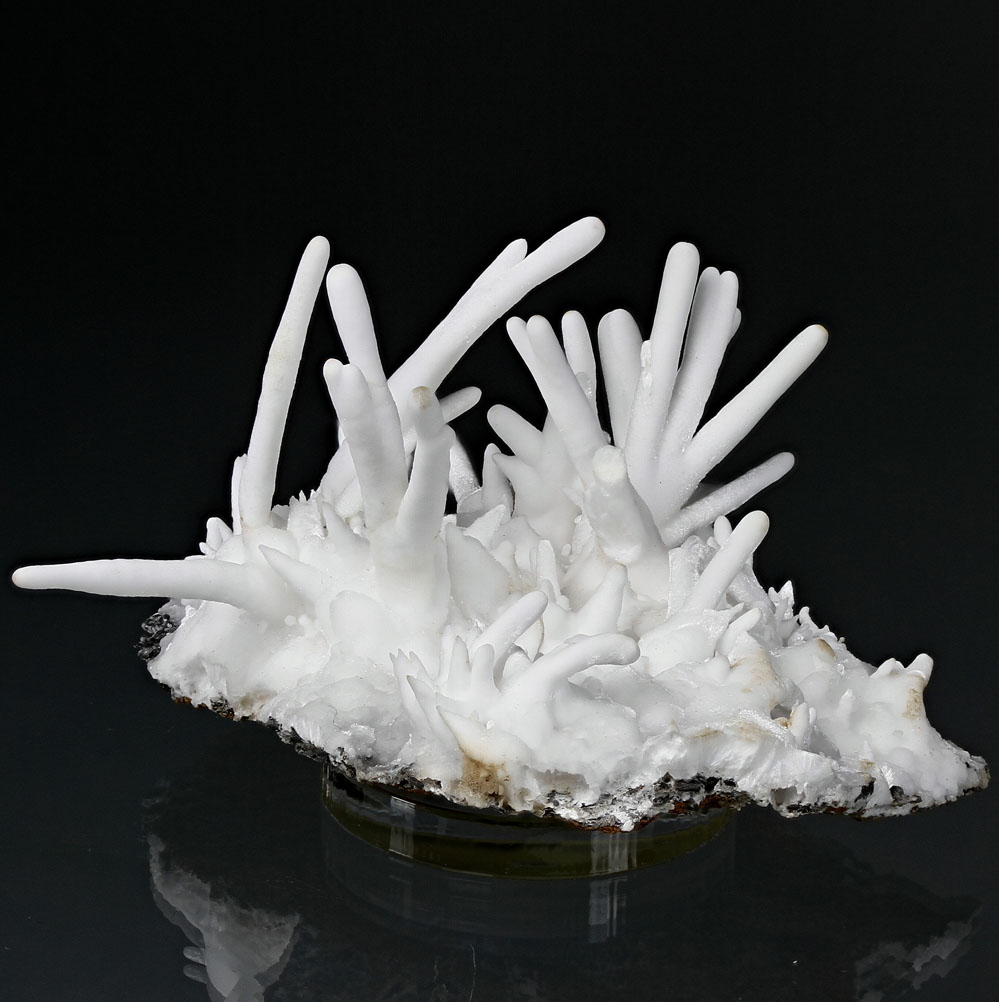 Aragonite Var Flos Ferri