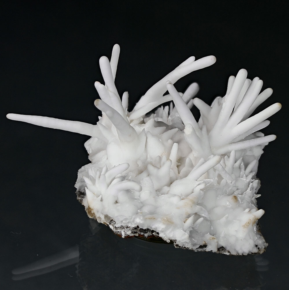 Aragonite Var Flos Ferri