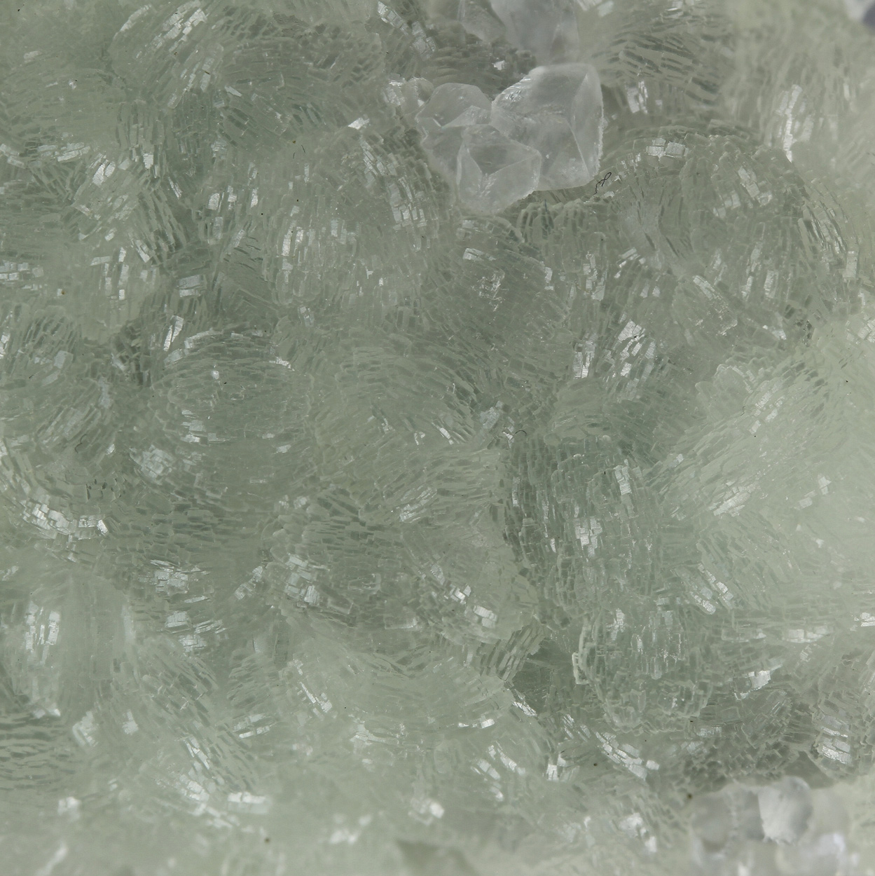 Prehnite