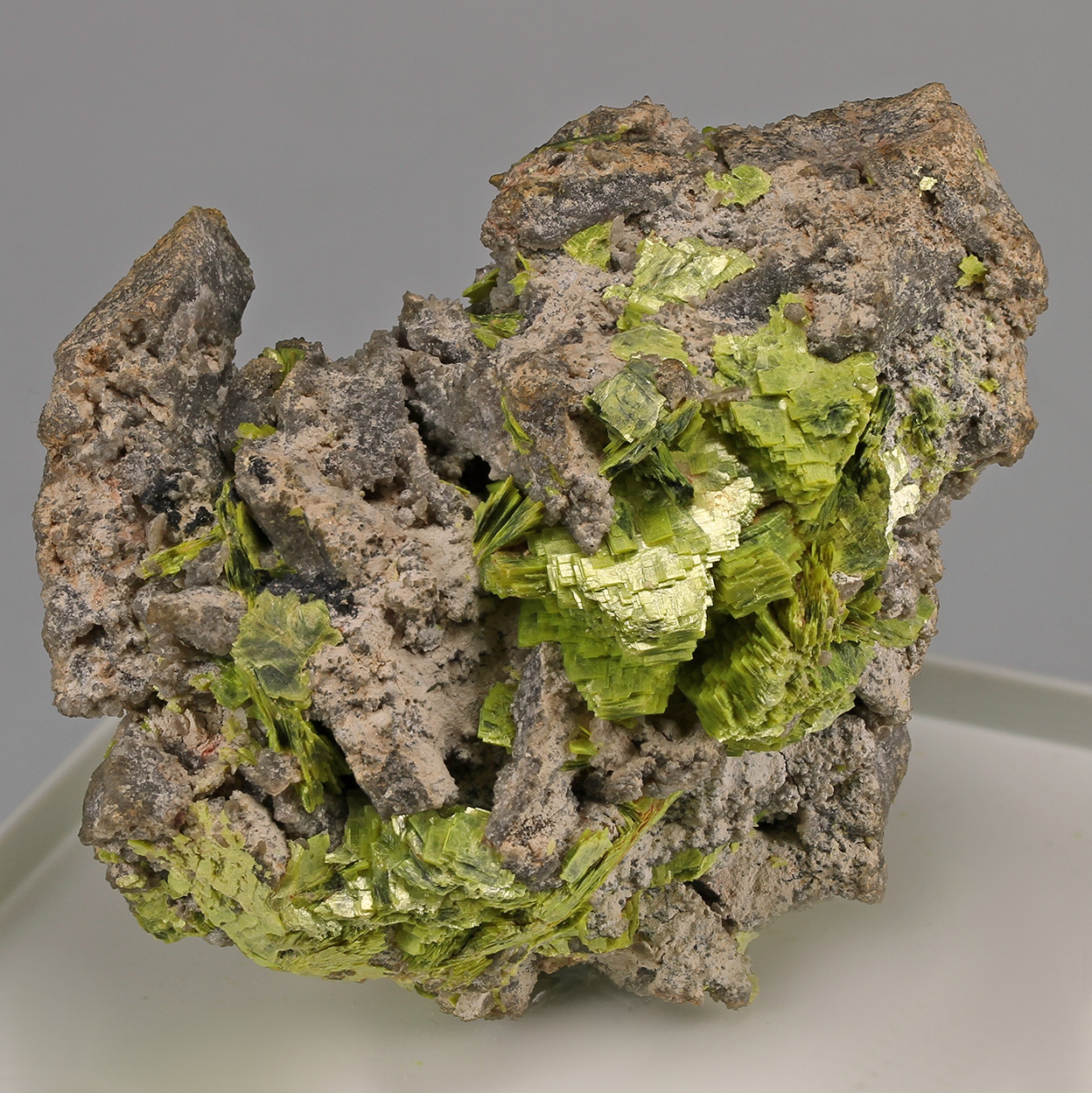 Autunite