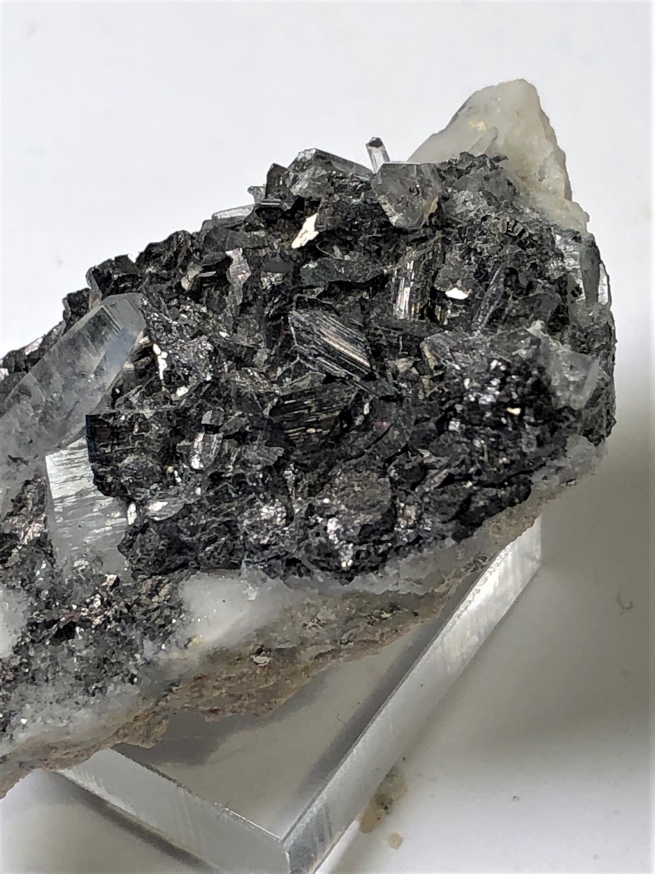 Enargite With Quartz