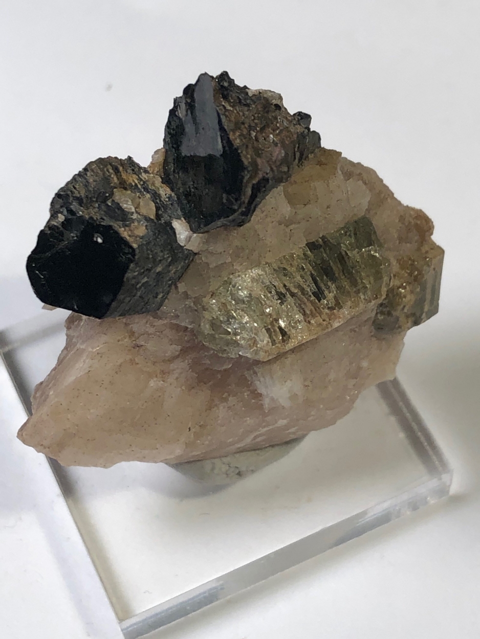 Fluorapatite With Phlogopite