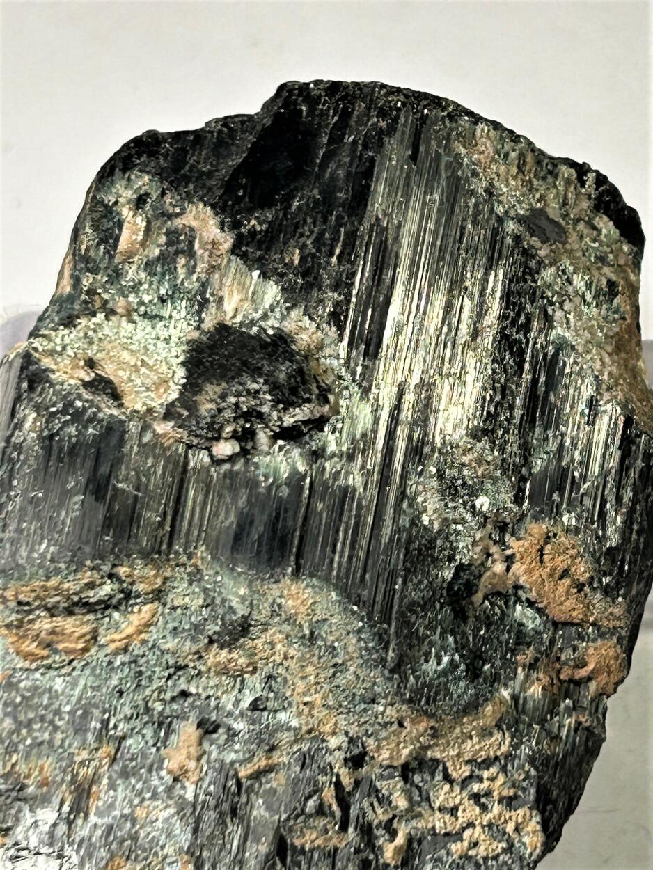 Magnesio-hornblende