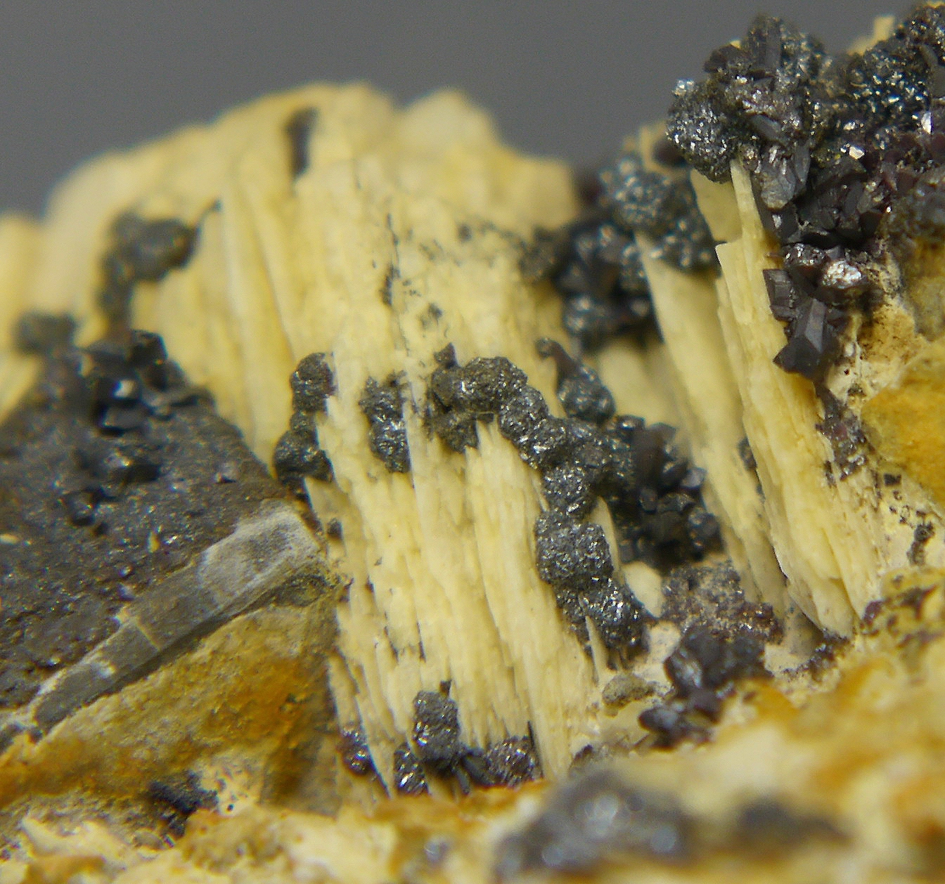 Xanthoconite & Proustite On Baryte