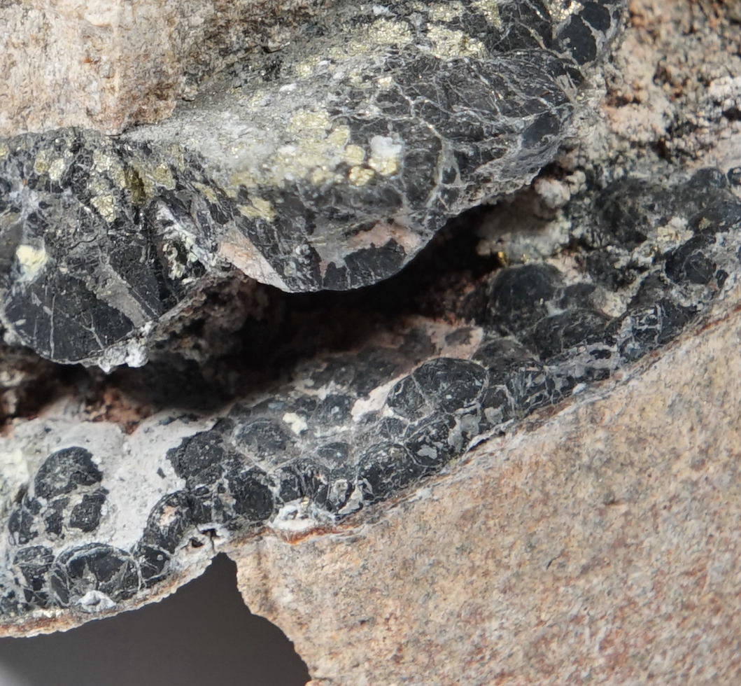 Uraninite Var Pitchblende