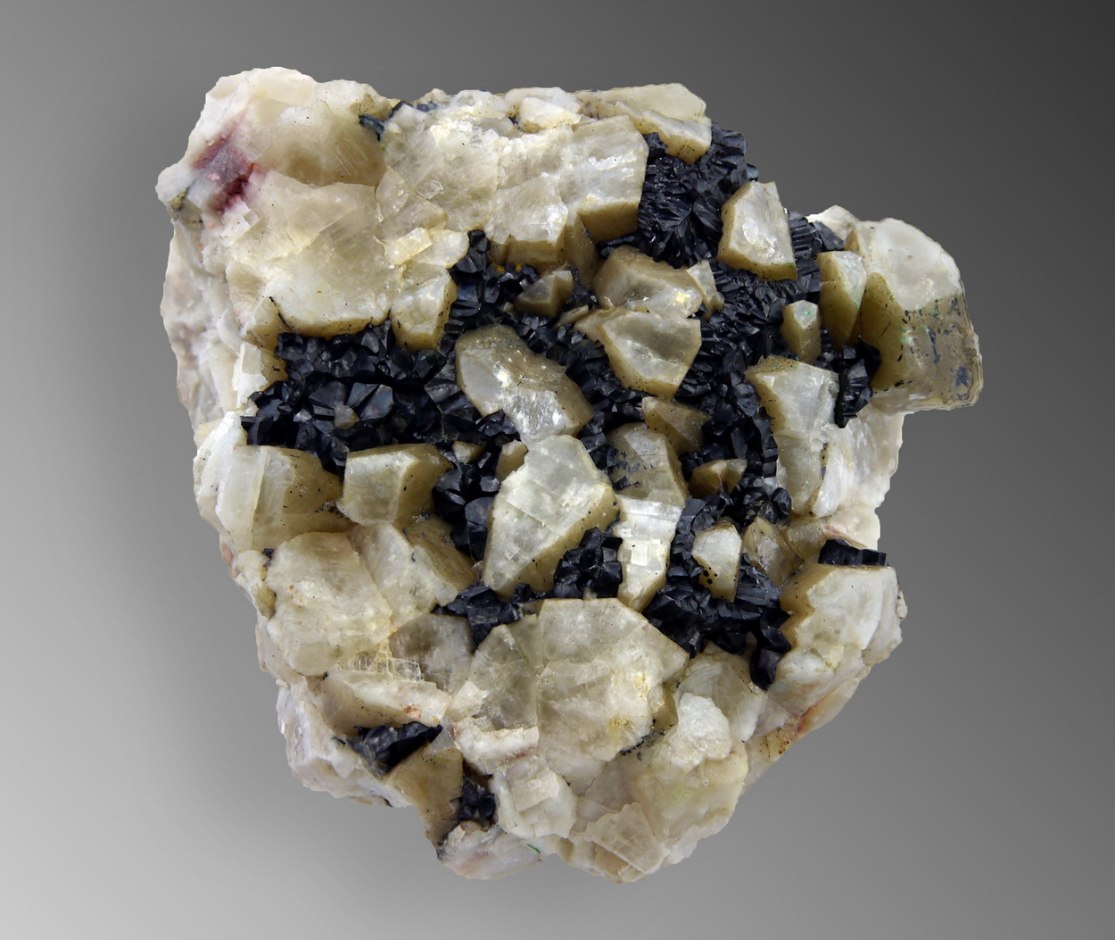 Uraninite Var Pitchblende & Calcite