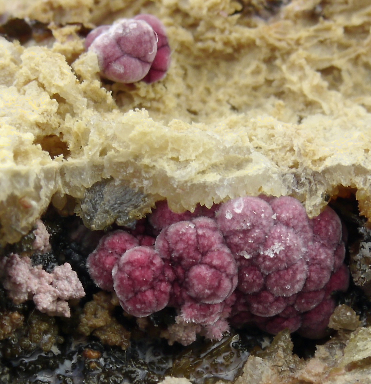 Erythrite & Quartz