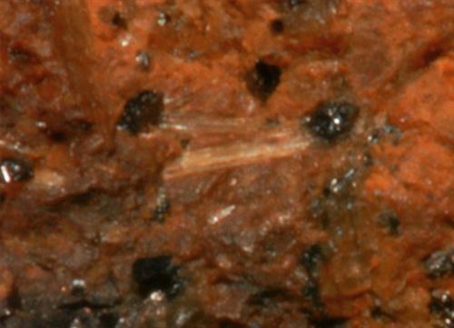 Protomangano-ferro-anthophyllite
