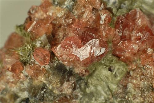 Manganoeudialyte