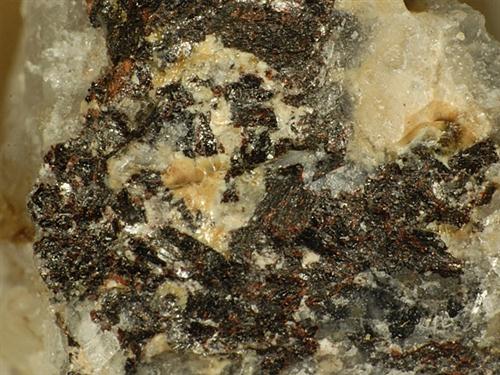 Neptunite & Rhabdophane-(Ce)