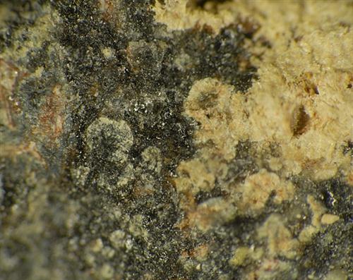Beyerite
