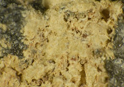 Beyerite