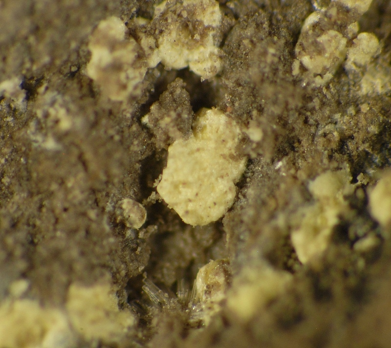 Iriginite