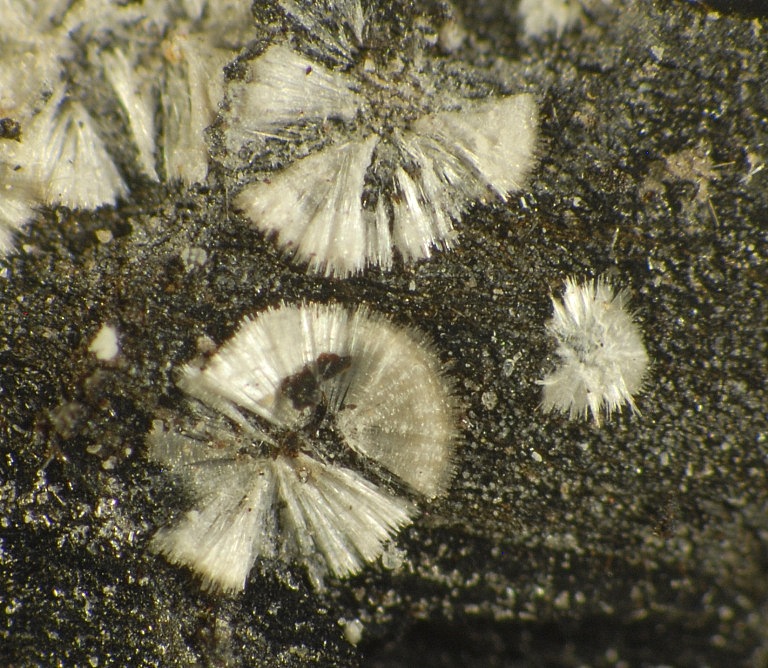 Kochsándorite