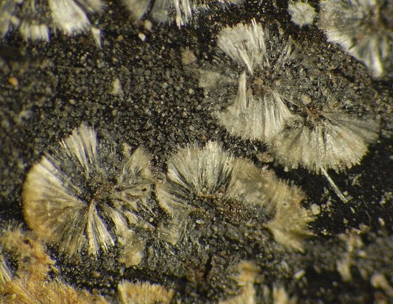 Kochsándorite