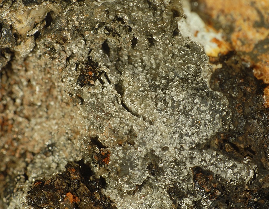 Montgomeryite