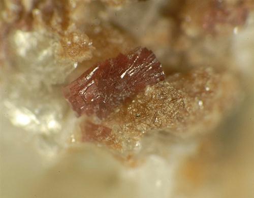 Petarasite