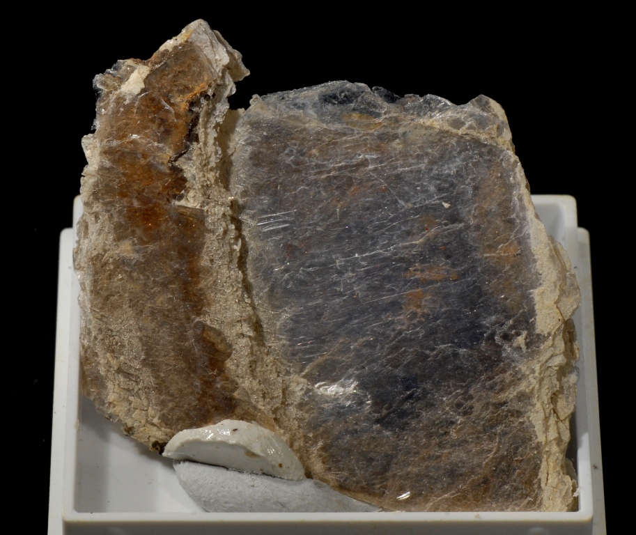 Masutomilite