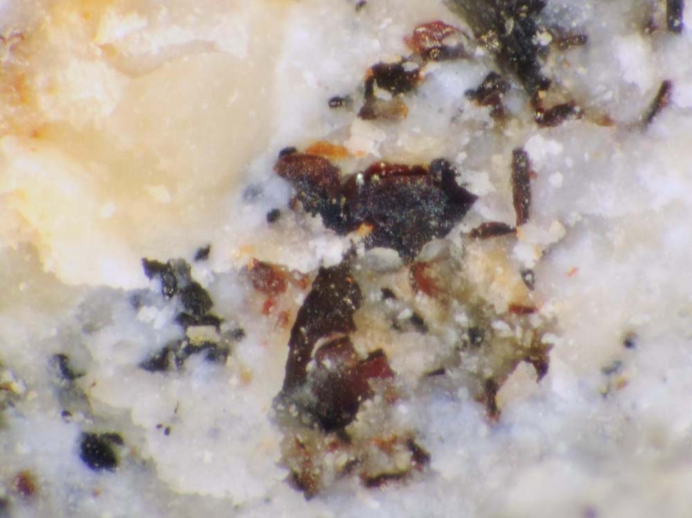 Brownmillerite