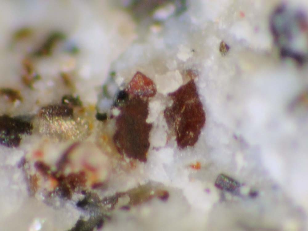 Brownmillerite