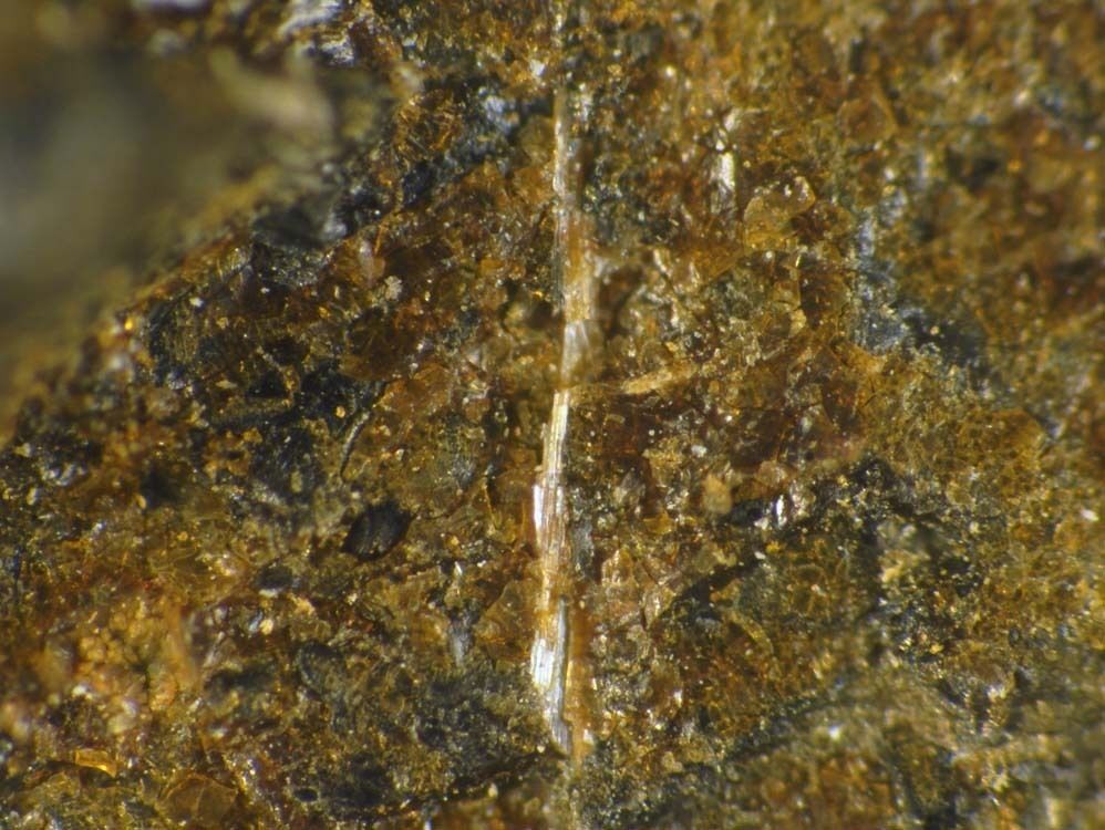 Proto-ferro-suenoite