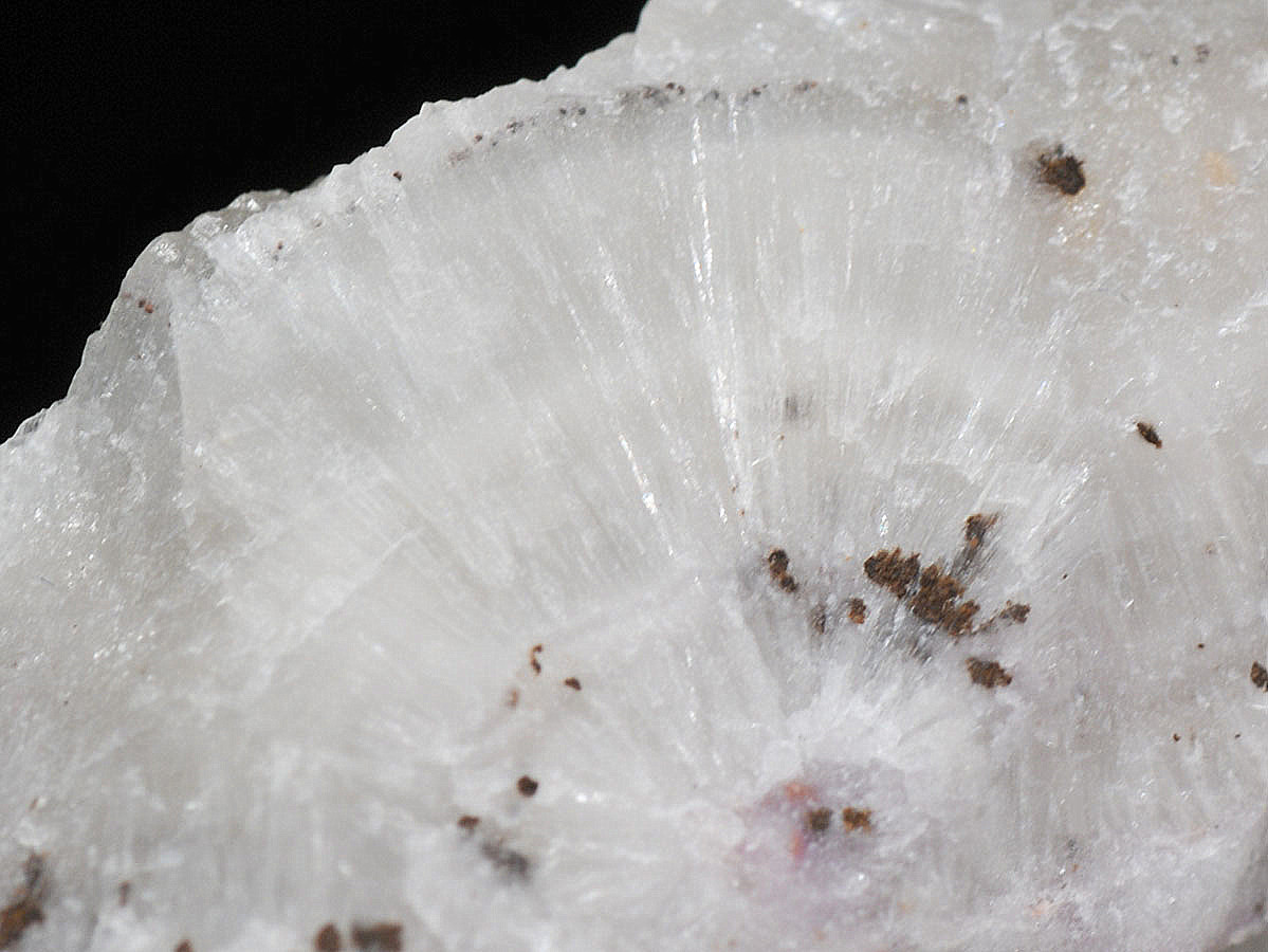 Sellaite