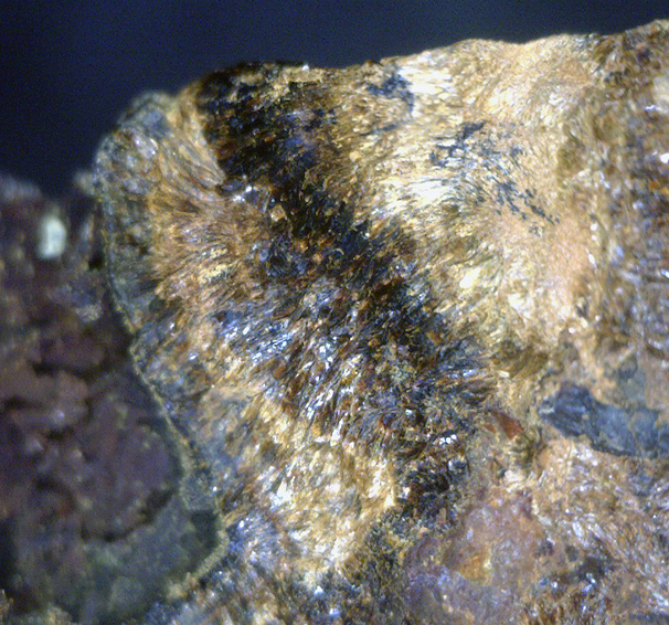 Lepidocrocite